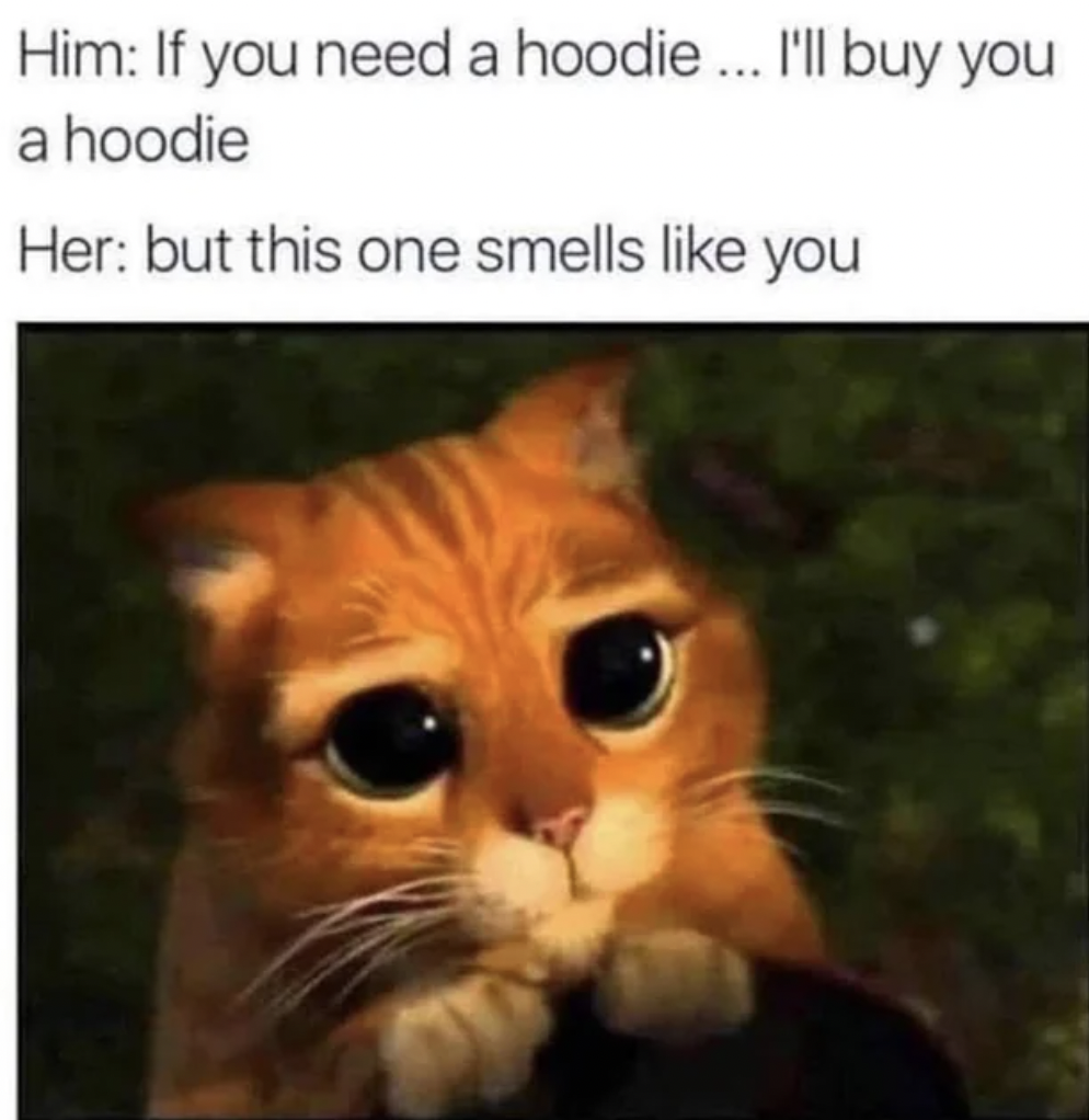 puss in boots stare - Him If you need a hoodie... I'll buy you a hoodie Her but this one smells you