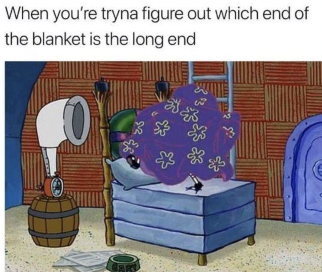 good morning world and all who inhabit - When you're tryna figure out which end of the blanket is the long end 3