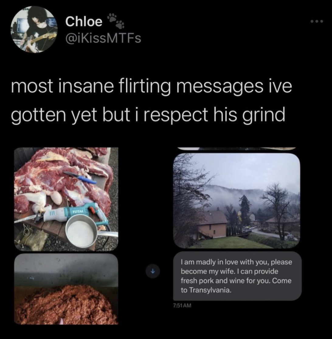 most insane flirting messages i ve gotten but i respect his grind - Chloe most insane flirting messages ive gotten yet but i respect his grind I am madly in love with you, please become my wife. I can provide fresh pork and wine for you. Come to Transylva