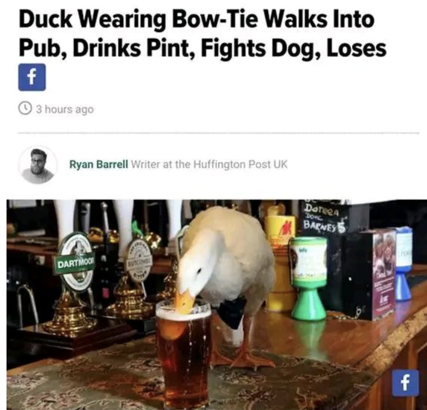 duck wearing bow tie walks into pub drinks pint fights dog loses - Duck Wearing BowTie Walks Into Pub, Drinks Pint, Fights Dog, Loses f 3 hours ago Ryan Barrell Writer at the Huffington Post Uk Dartmoo Doreca Barnes f