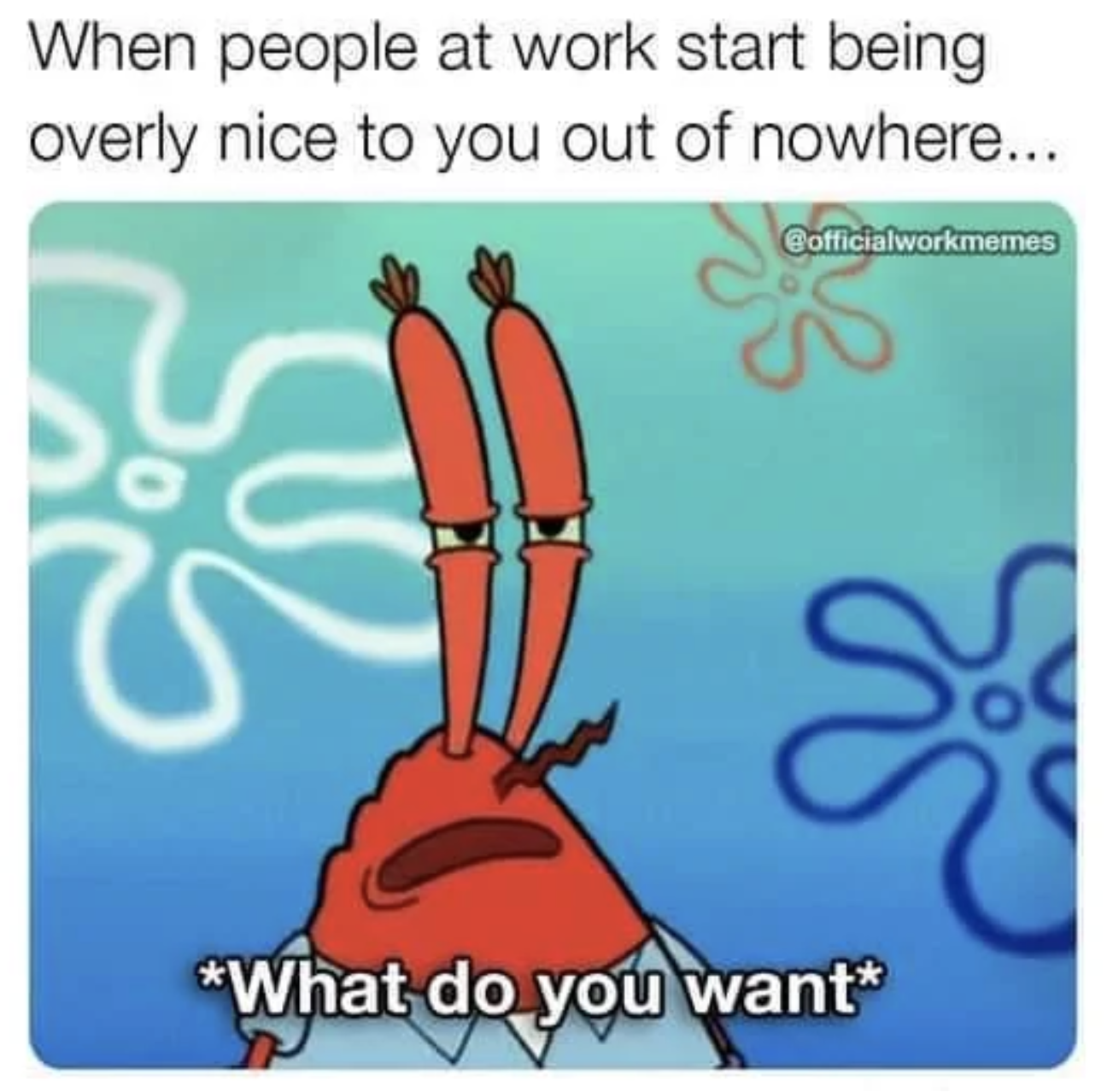 monday work memes - Internet meme - When people at work start being overly nice to you out of nowhere... Cofficialworkmemes What do you want