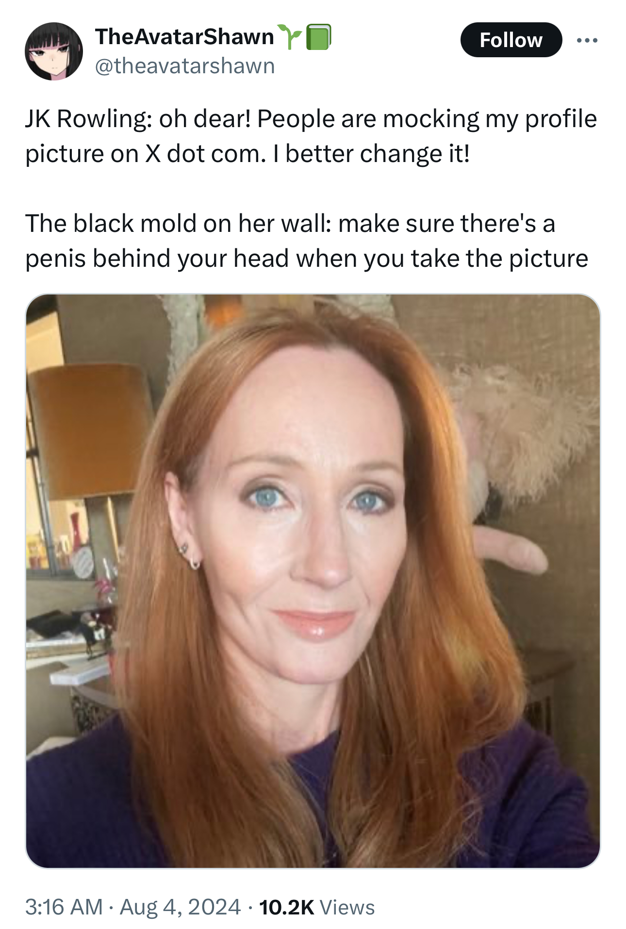 Selfie - TheAvatarShawn Jk Rowling oh dear! People are mocking my profile picture on X dot com. I better change it! The black mold on her wall make sure there's a penis behind your head when you take the picture Views