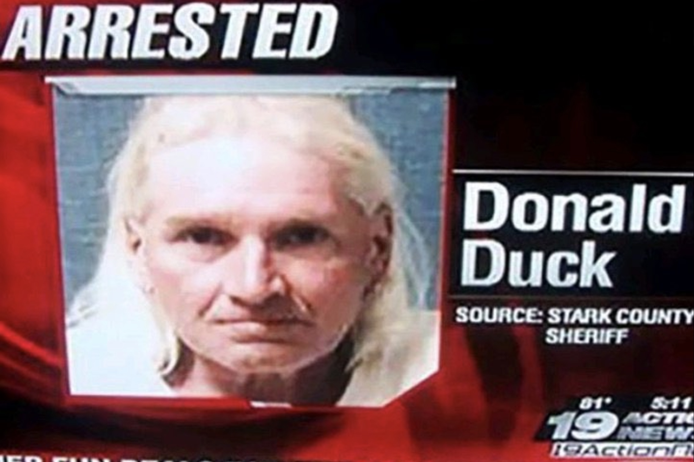 dick smalley - Arrested Donald Duck Source Stark County Sheriff 81 Acti 19 New 19Action