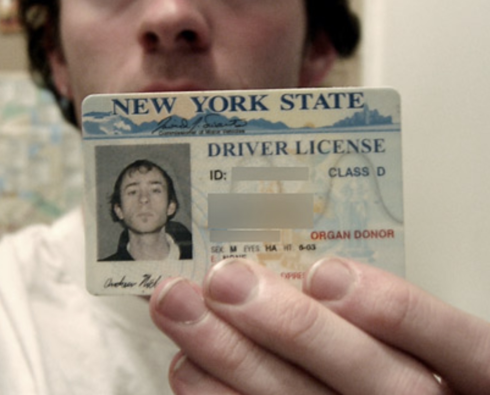 cash - New York State Driver License Onderer Nail Id Sex M Eyes Ha Ht 603 Opre Class D Organ Donor