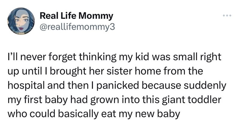 screenshot - Ommy's Real Life Mommy I'll never forget thinking my kid was small right up until I brought her sister home from the hospital and then I panicked because suddenly my first baby had grown into this giant toddler who could basically eat my new 