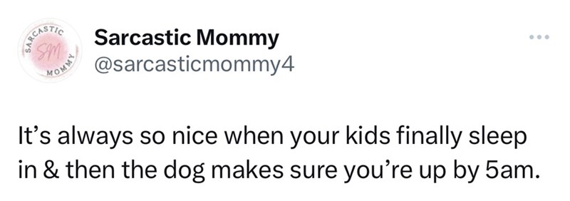 lilac - Sarcastic Sm Mommy Sarcastic Mommy It's always so nice when your kids finally sleep in & then the dog makes sure you're up by 5am.