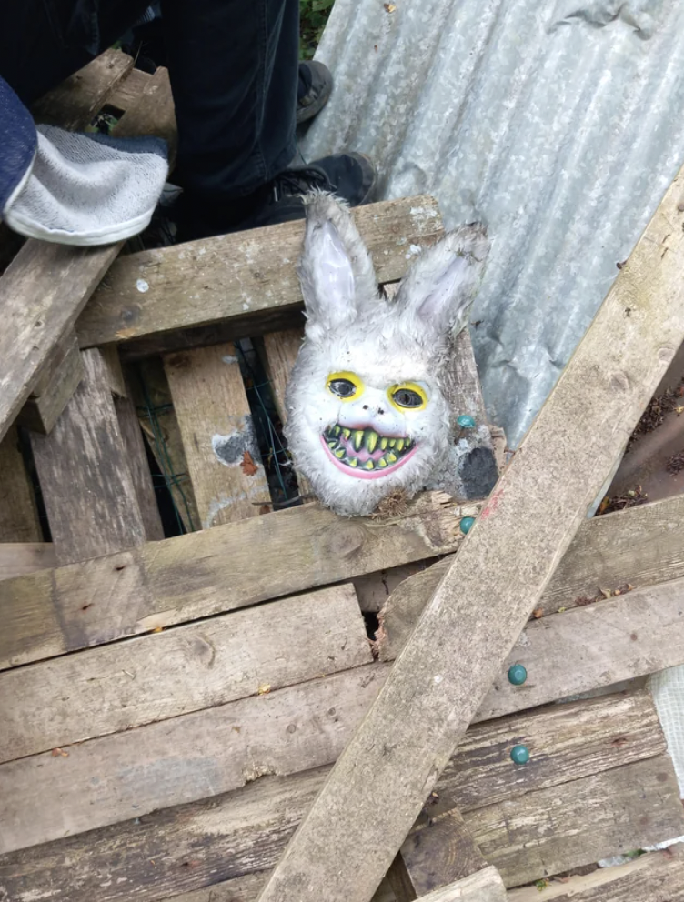 “I found this mask about a 30 minute walk into a forest in an abandoned den thing.”