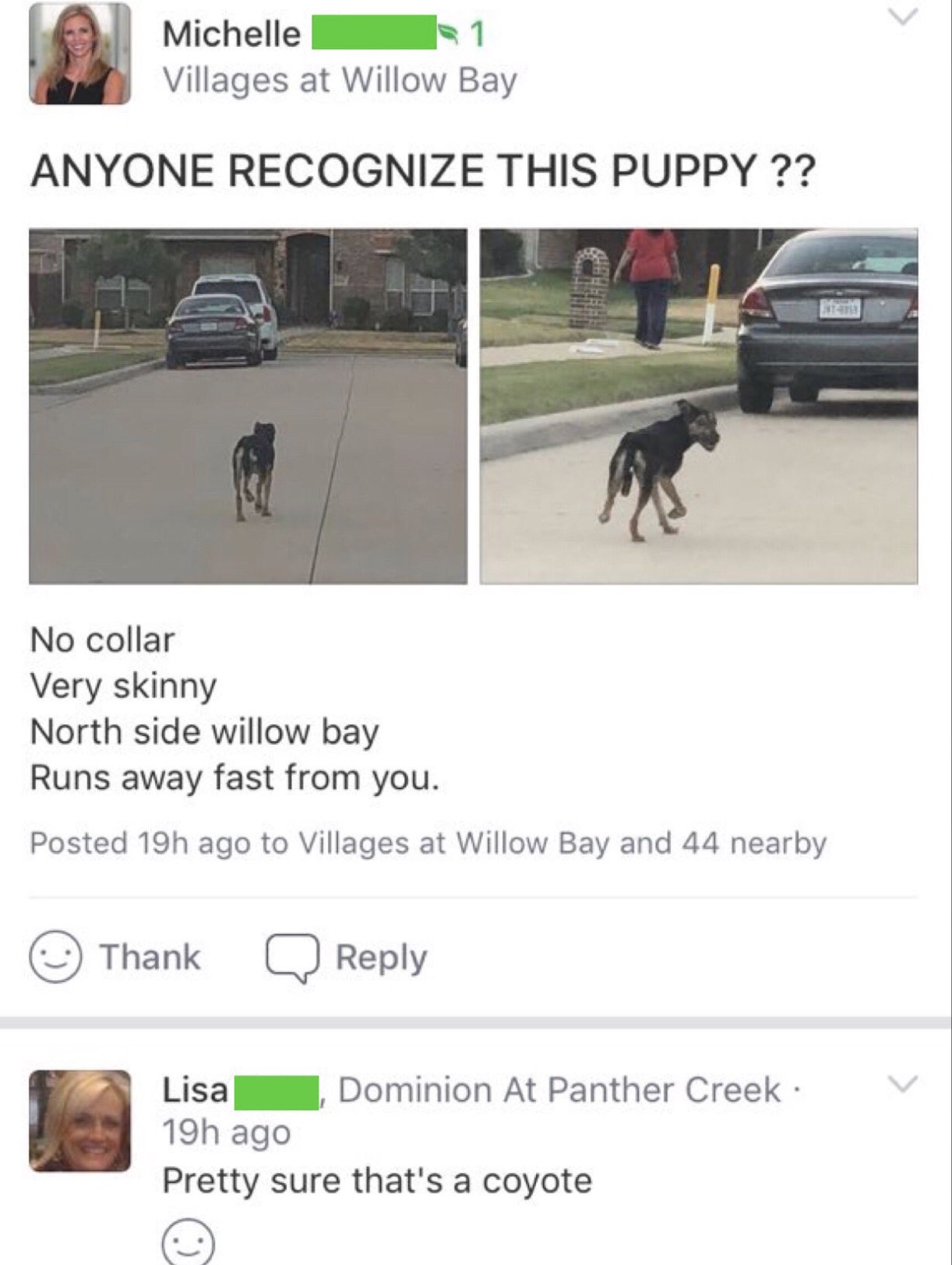 street dog - Michelle 1 Villages at Willow Bay Anyone Recognize This Puppy?? No collar Very skinny North side willow bay Runs away fast from you. Posted 19h ago to Villages at Willow Bay and 44 nearby Thank Lisa 19h ago Dominion At Panther Creek. Pretty s