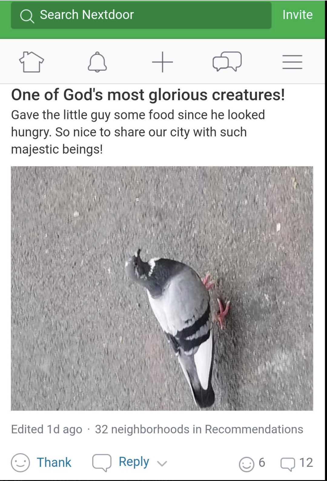 screenshot - Search Nextdoor Invite One of God's most glorious creatures! Gave the little guy some food since he looked hungry. So nice to our city with such majestic beings! Edited 1d ago 32 neighborhoods in Recommendations Thank 6 12