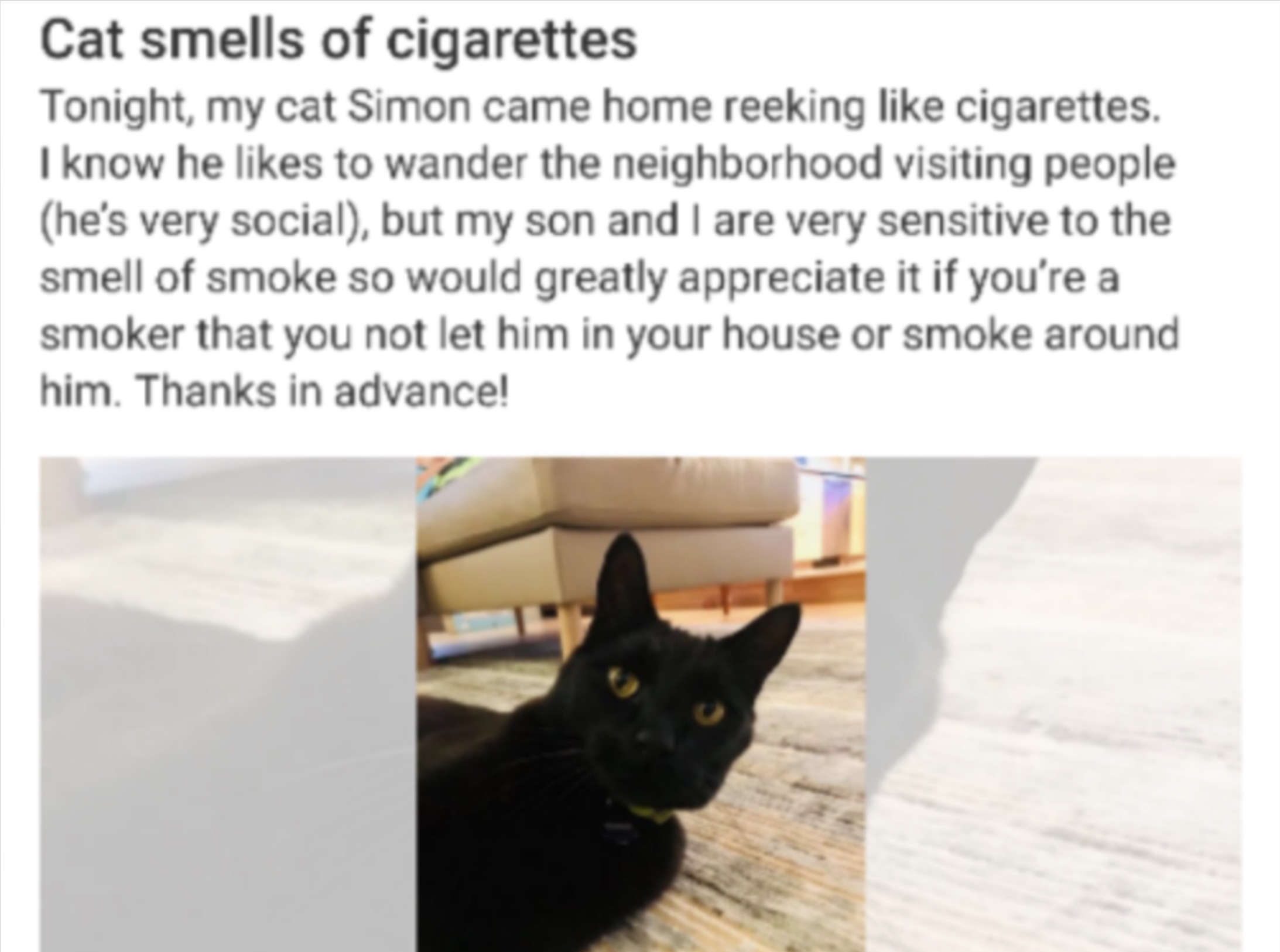 black cat - Cat smells of cigarettes Tonight, my cat Simon came home reeking cigarettes. I know he to wander the neighborhood visiting people he's very social, but my son and I are very sensitive to the smell of smoke so would greatly appreciate it if you