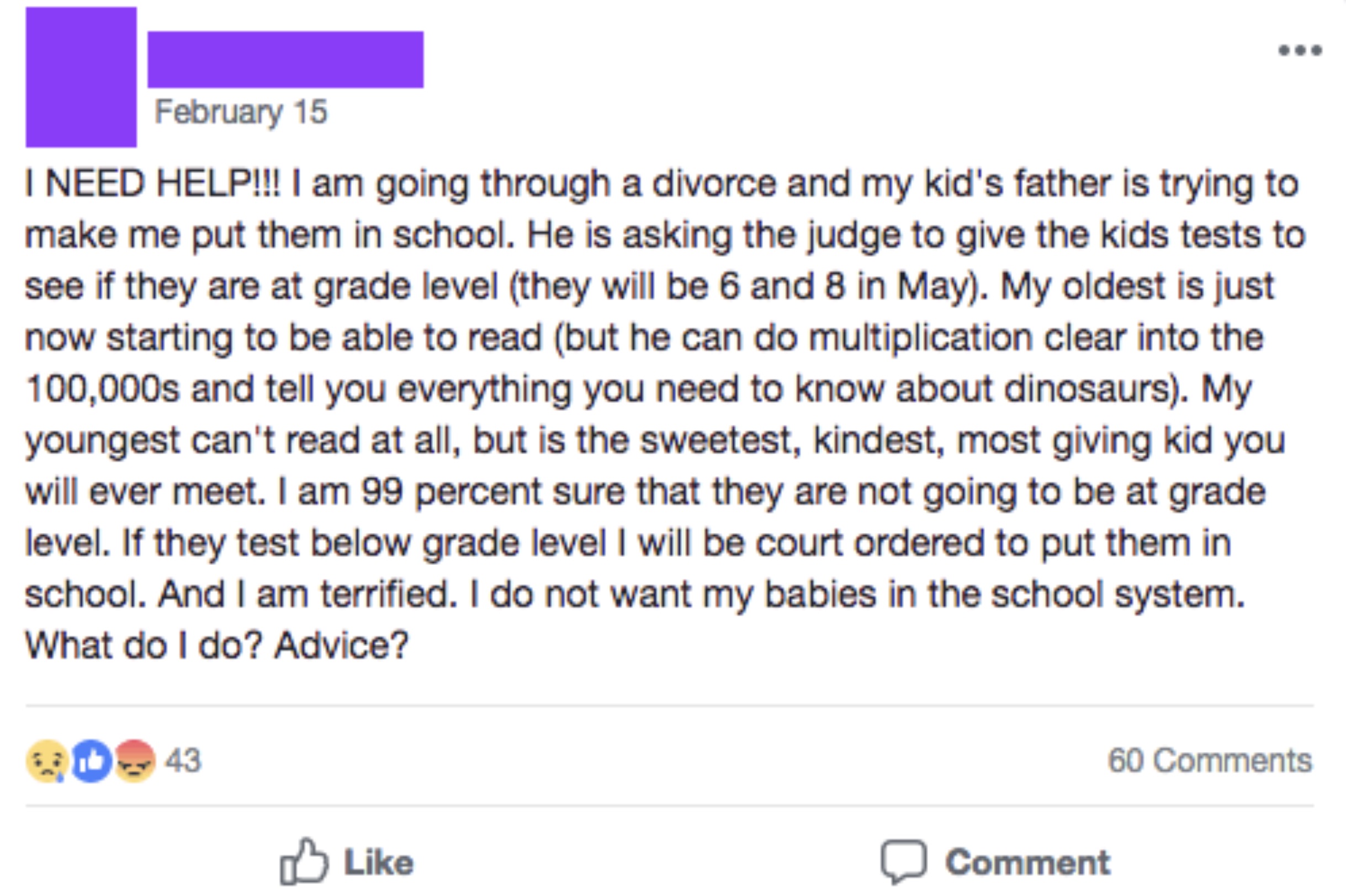 screenshot - February 15 I Need Help!!! I am going through a divorce and my kid's father is trying to make me put them in school. He is asking the judge to give the kids tests to see if they are at grade level they will be 6 and 8 in May. My oldest is jus