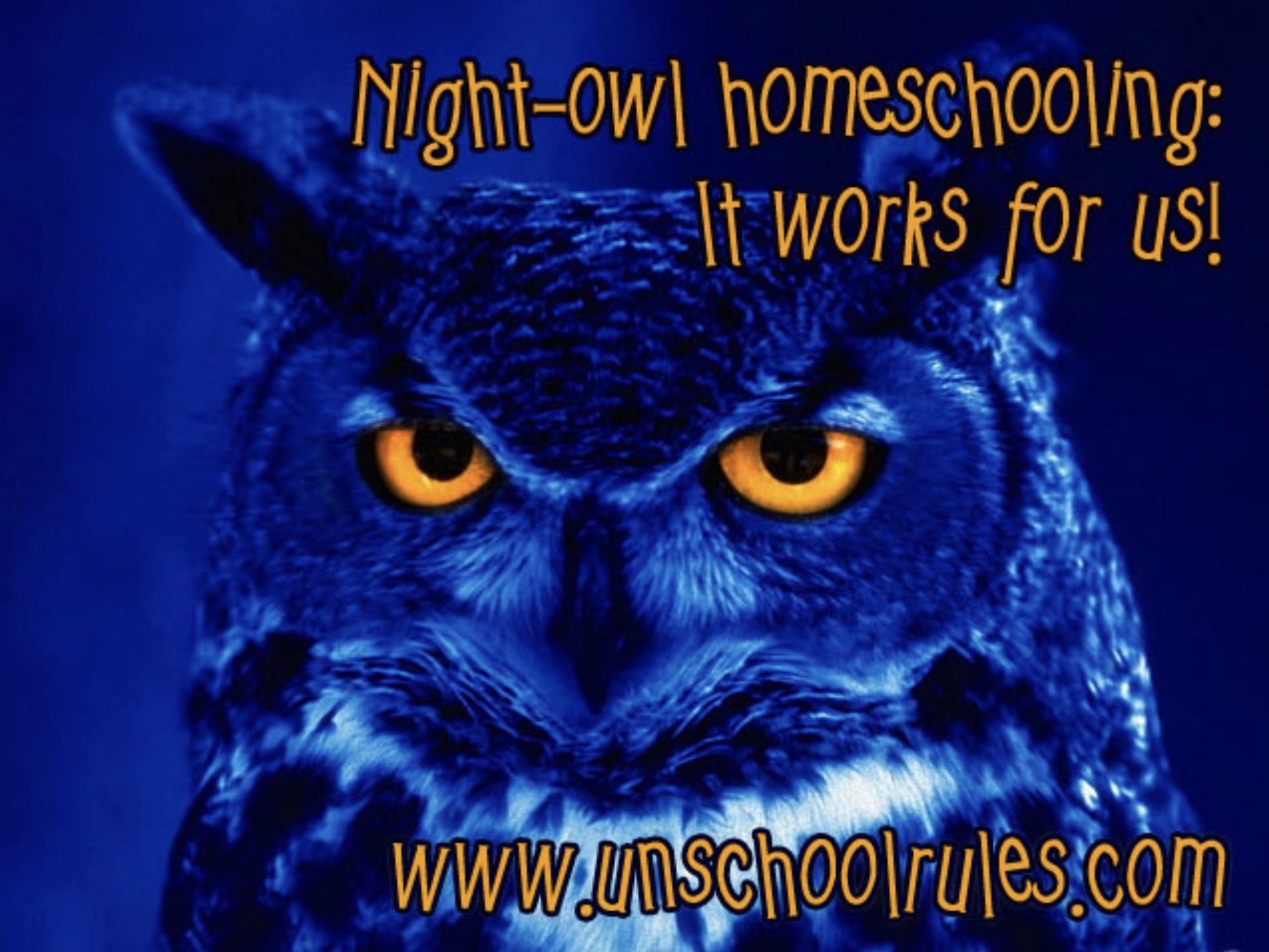 Nightowl homeschooling It works for us!