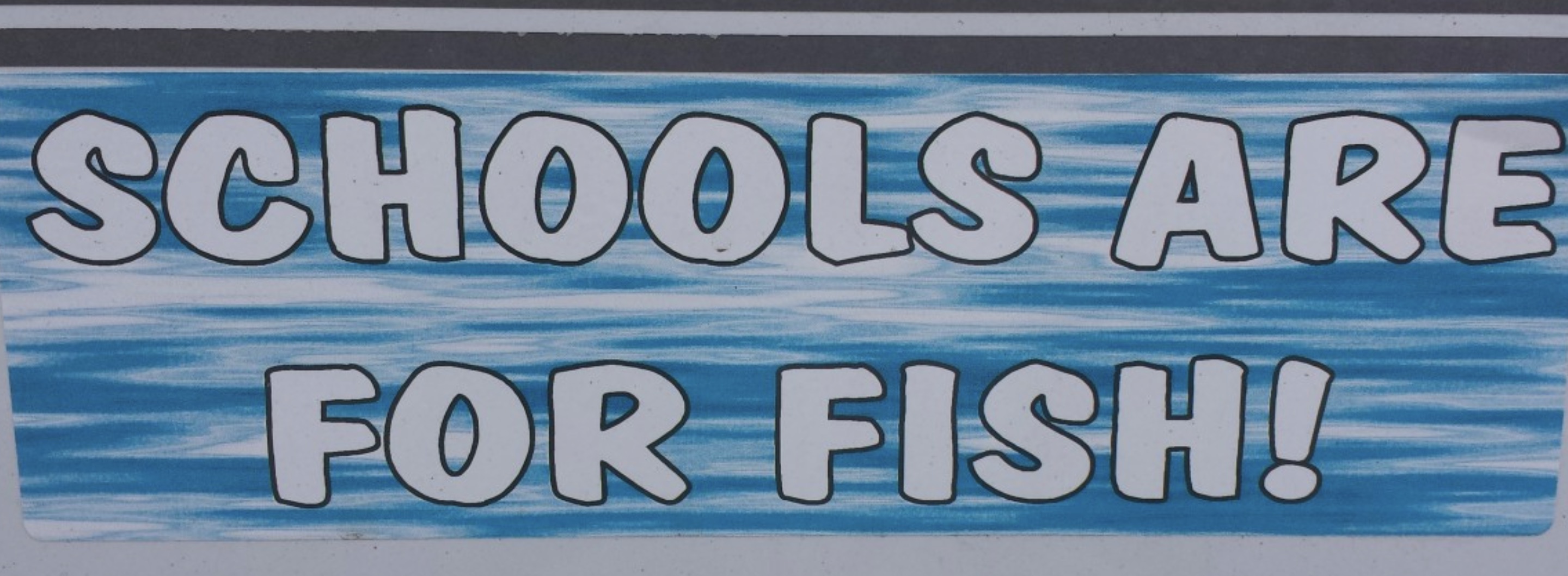 banner - Schools Are For Fish!