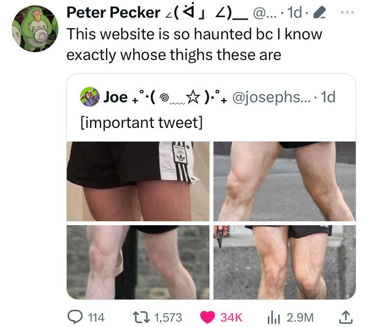 screenshot - Peter Pecker 4_ @.... 1d This website is so haunted bc I know exactly whose thighs these are Joe . .... 1d important tweet 114 1, Ilil 2.9M