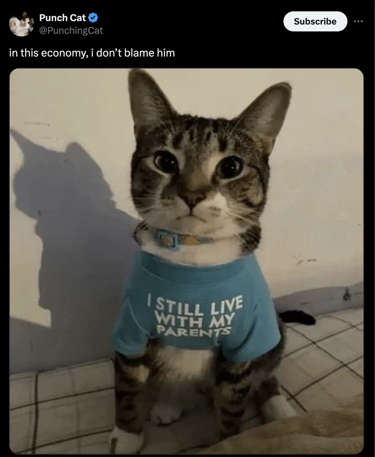 Punch Cat in this economy, i don't blame him I Still Live With My Parents Subscribe