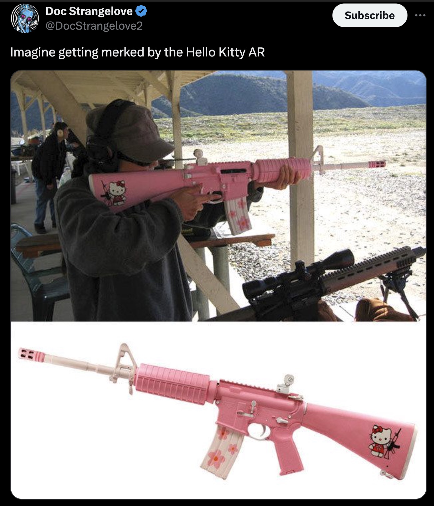 Doc Strangelove Imagine getting merked by the Hello Kitty Ar Subscribe