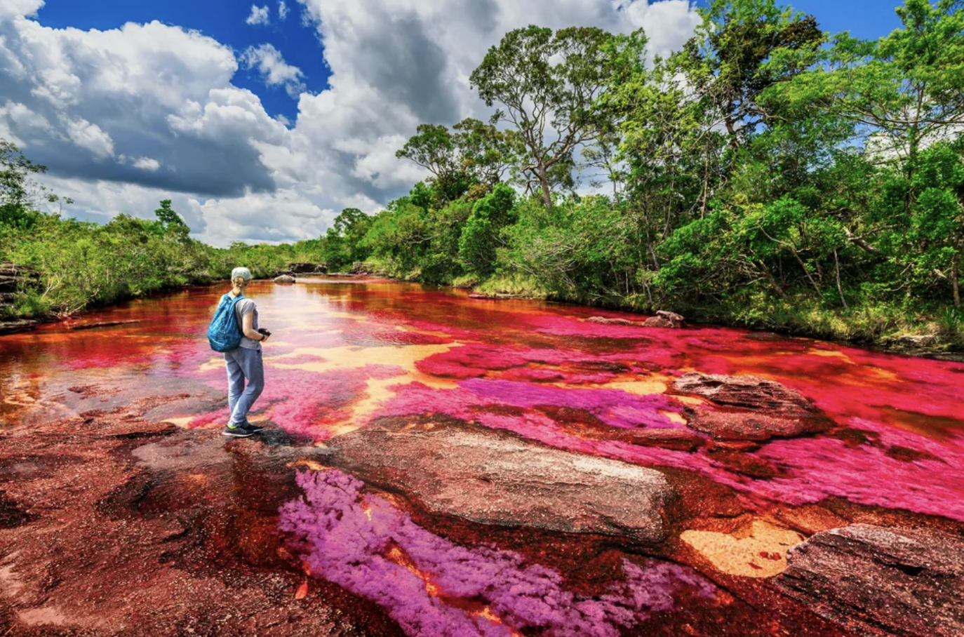 The Caño Cristales river in Colombia.