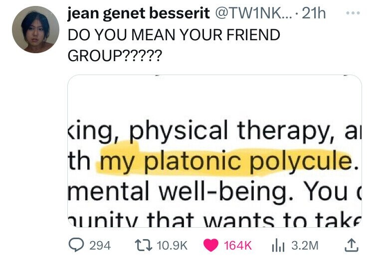 screenshot - jean genet besserit .... 21h Do You Mean Your Friend Group????? king, physical therapy, al th my platonic polycule. mental wellbeing. You unity that wants to take 294 | 3.2M