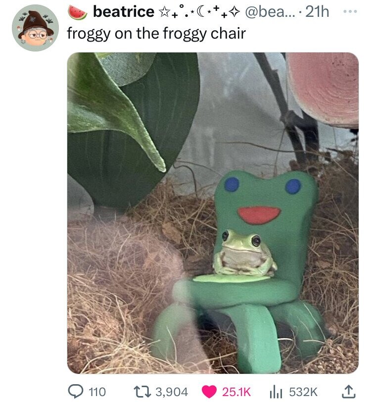 frog sitting in frog chair - beatrice . froggy on the froggy chair .... 21h 110 3,904