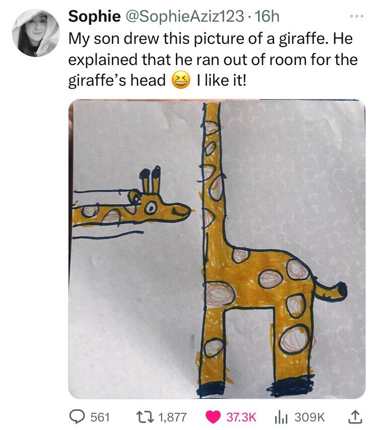 giraffe - Sophie .16h My son drew this picture of a giraffe. He explained that he ran out of room for the giraffe's head I it! 561 1,877 |