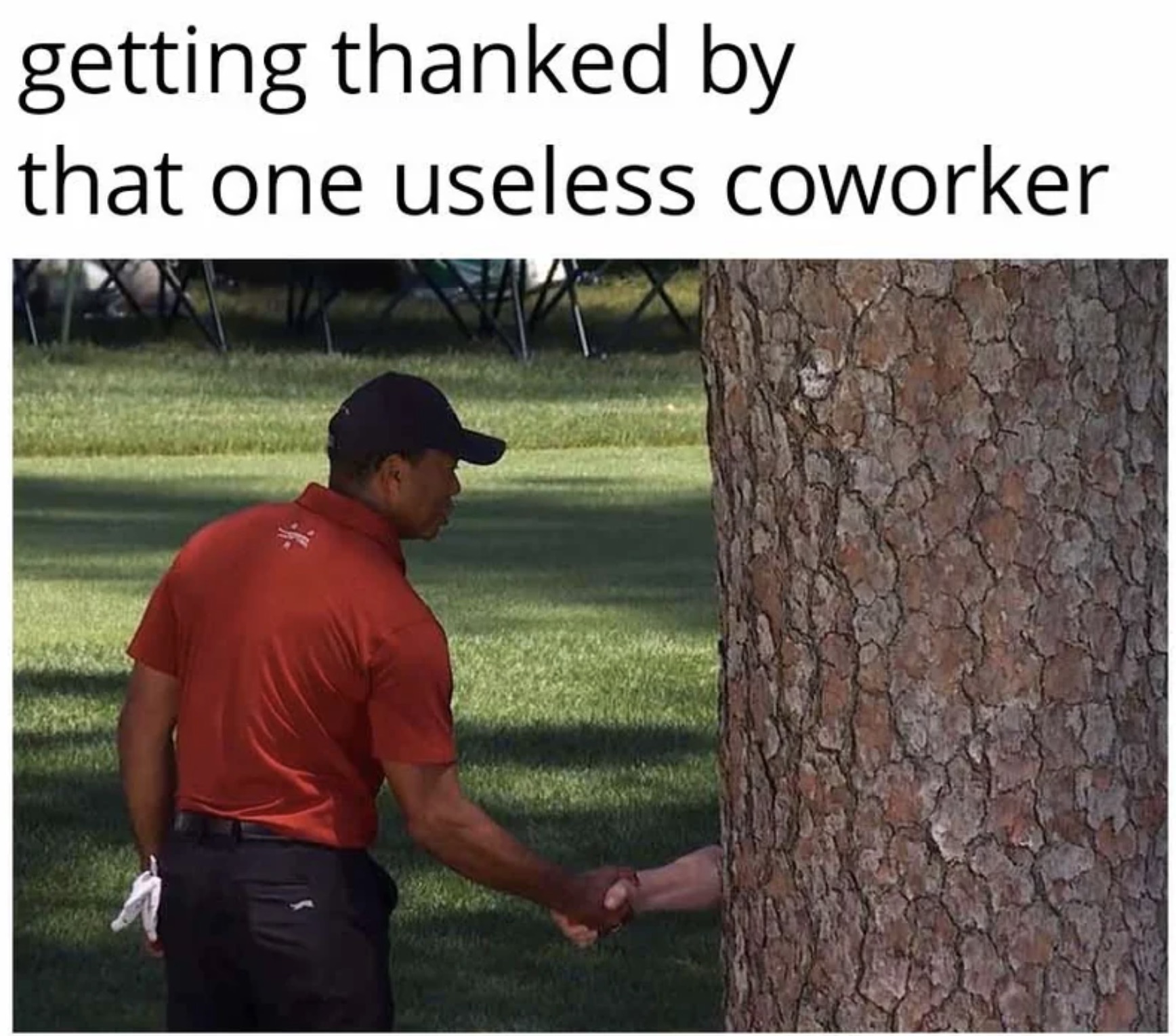 monday work memes - tiger woods shaking hands with tree - getting thanked by that one useless coworker