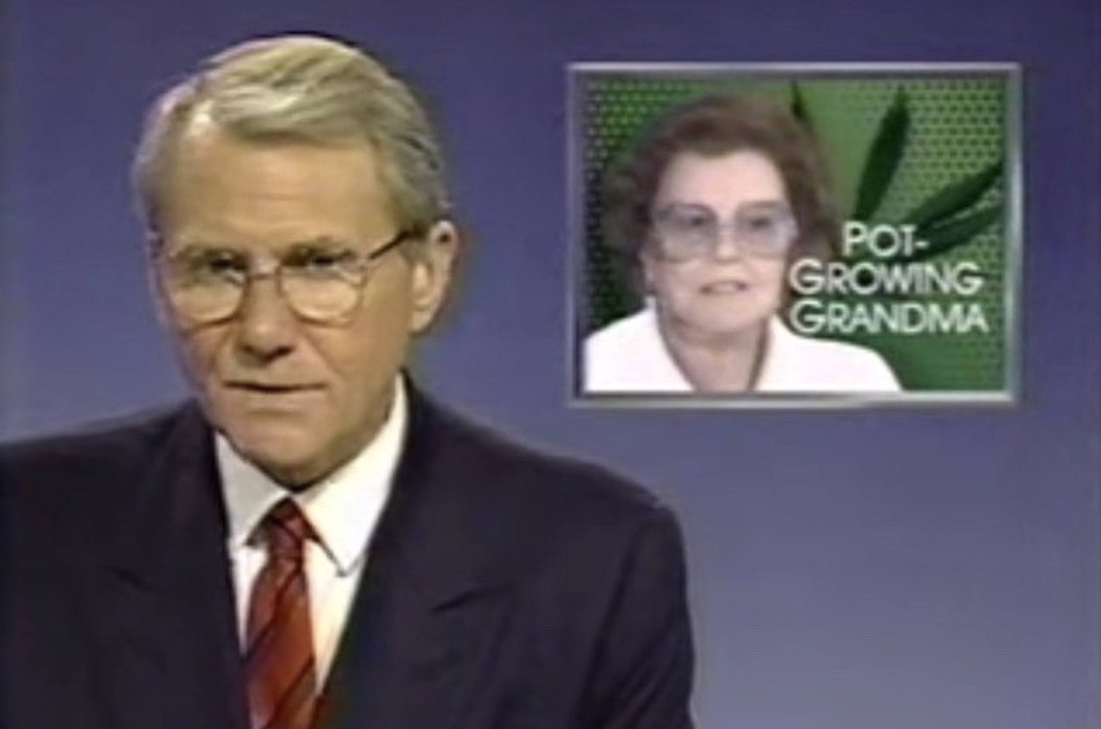 newscaster - Pot Growing Grandma