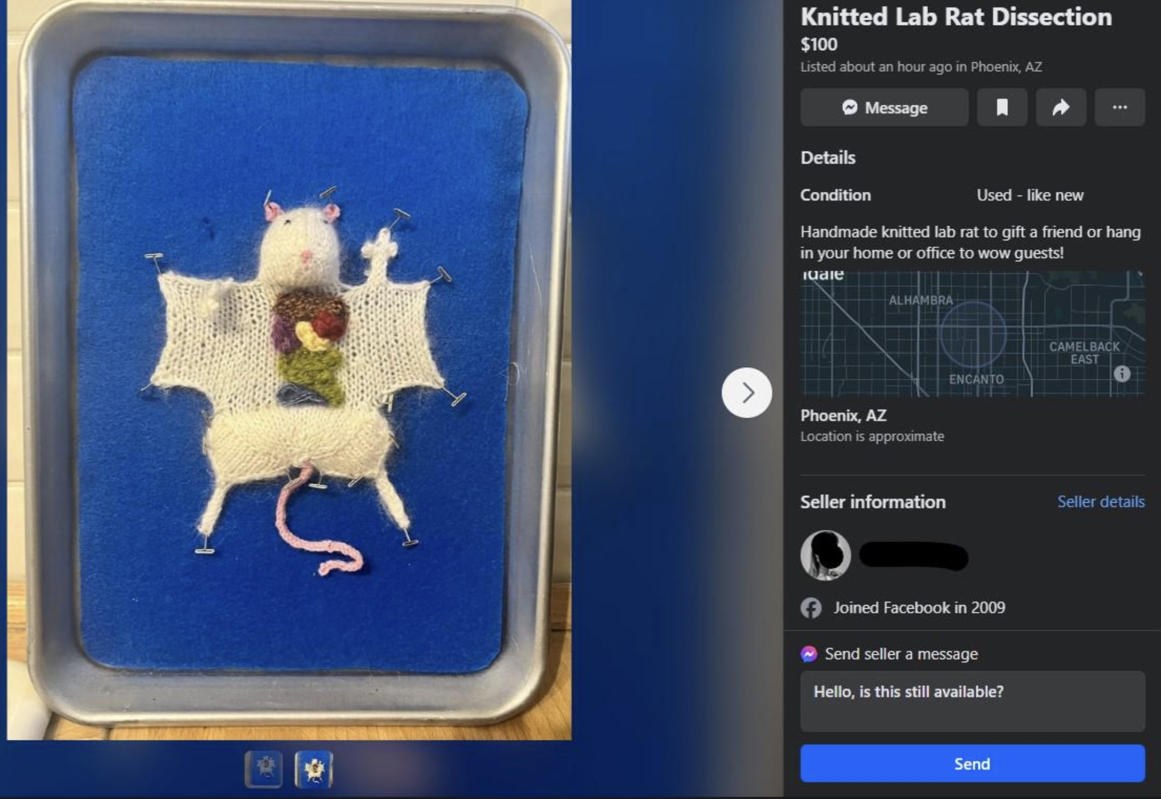 screenshot - Knitted Lab Rat Dissection $100 Listed about an hour ago in Phoenix, Az Details Message Condition Used new Handmade knitted lab rat to gift a friend or hang in your home or office to wow guests! Alhambra Phoenix, Az Location is approximate Ca