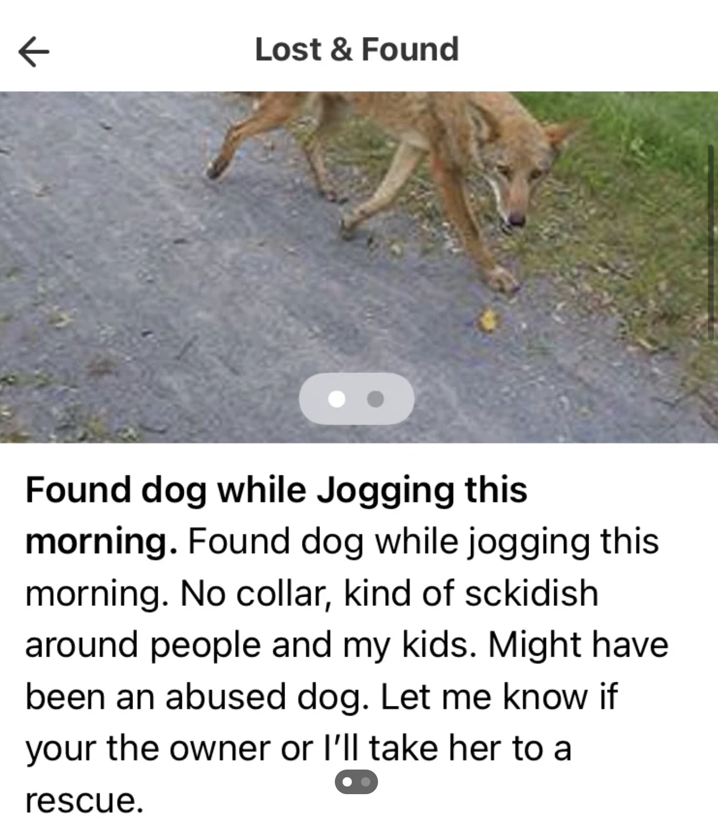 screenshot - Lost & Found Found dog while Jogging this morning. Found dog while jogging this morning. No collar, kind of sckidish around people and my kids. Might have been an abused dog. Let me know if your the owner or I'll take her to a rescue.