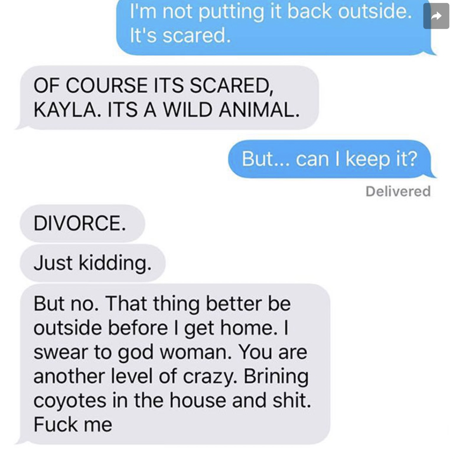 Coyote - I'm not putting it back outside. It's scared. Of Course Its Scared, Kayla. Its A Wild Animal. But... can I keep it? Divorce. Just kidding. But no. That thing better be outside before I get home. I swear to god woman. You are another level of craz