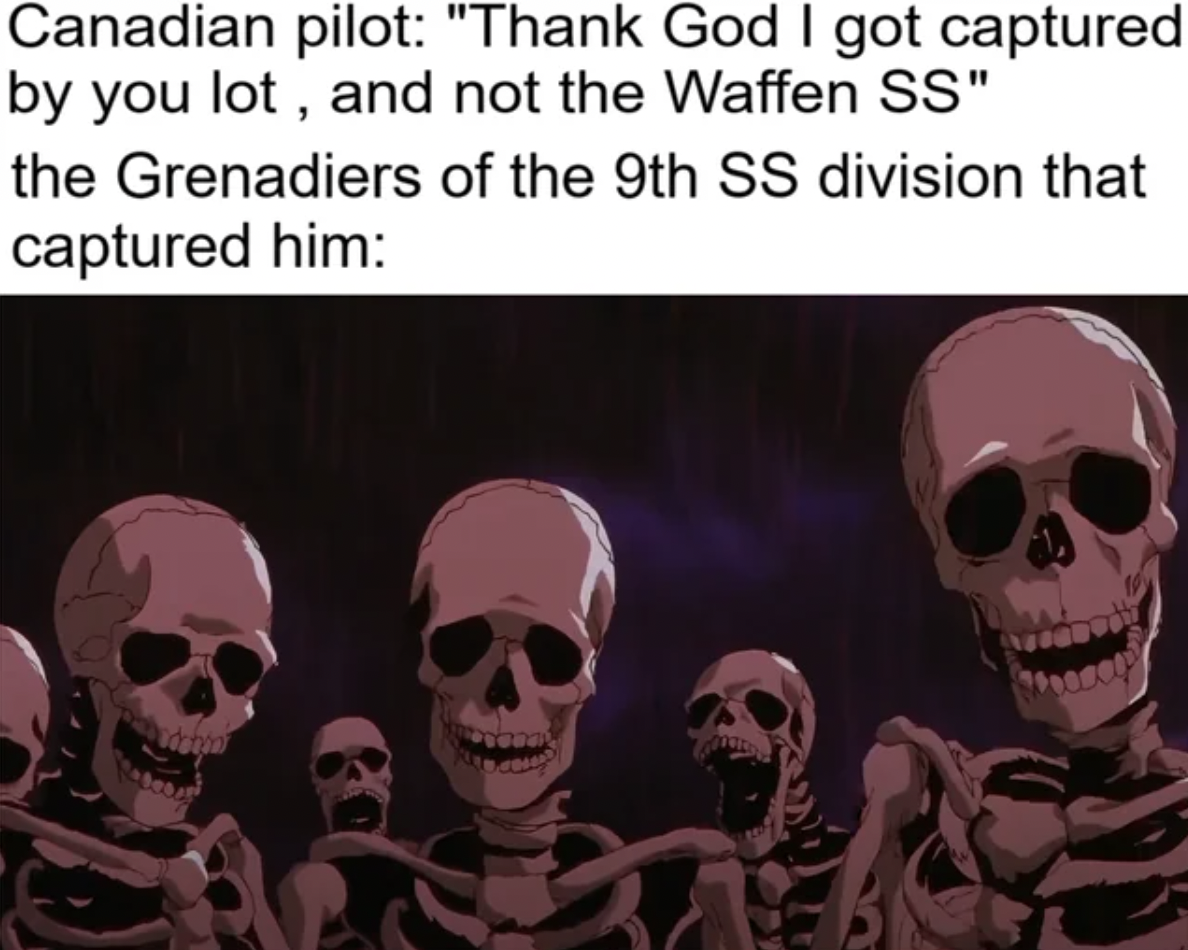 skeletons background - Canadian pilot "Thank God I got captured by you lot, and not the Waffen Ss" the Grenadiers of the 9th Ss division that captured him