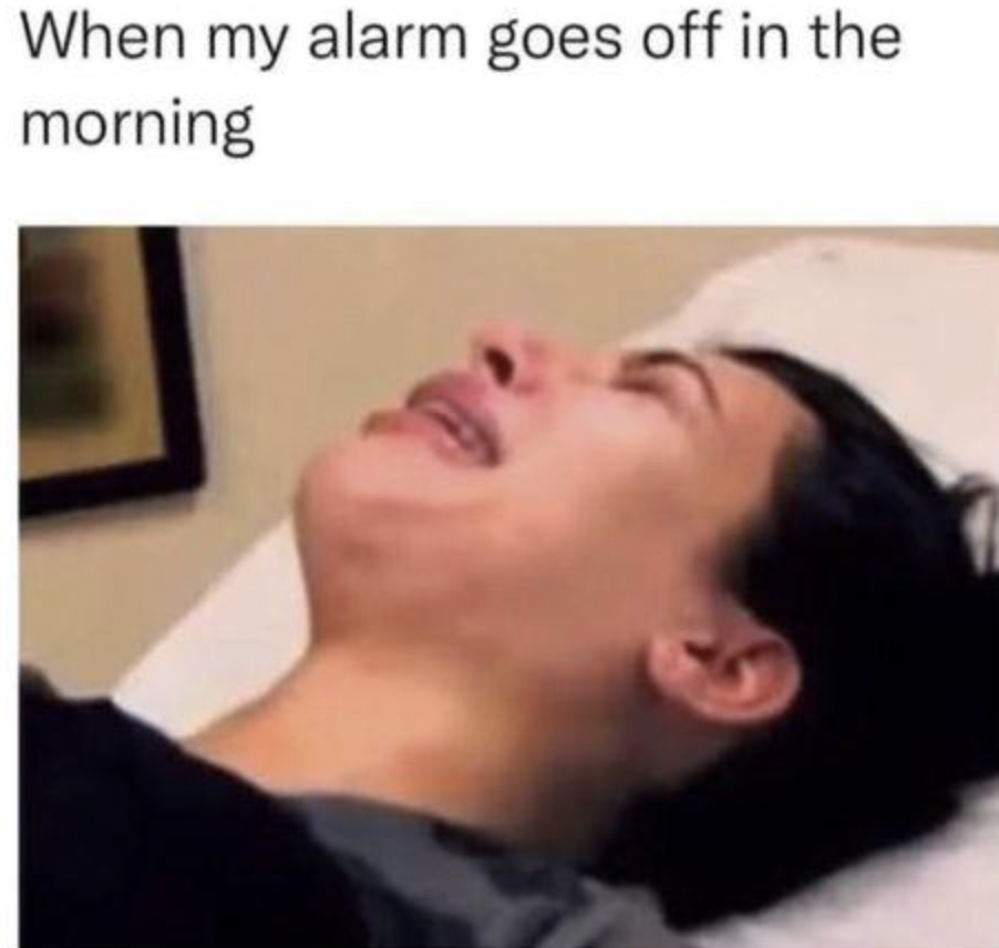 meme about work - When my alarm goes off in the morning