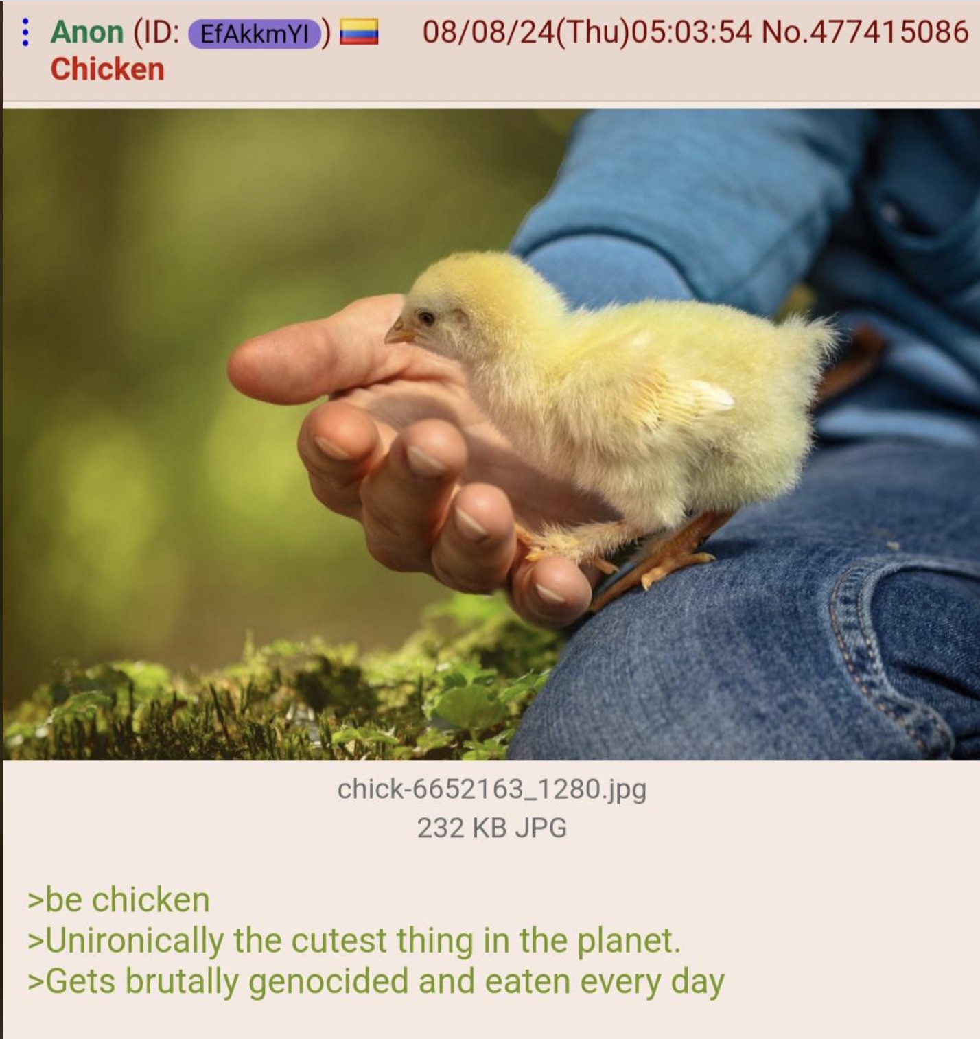 Anon Id EfAkkmYl Chicken 080824Thu54 No.477415086 chick6652163_1280.jpg 232 Kb Jpg >be chicken >Unironically the cutest thing in the planet. >Gets brutally genocided and eaten every day