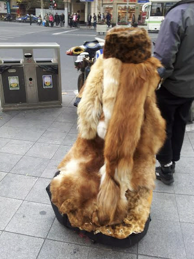 Fur vendor on the streets of Shanghai.