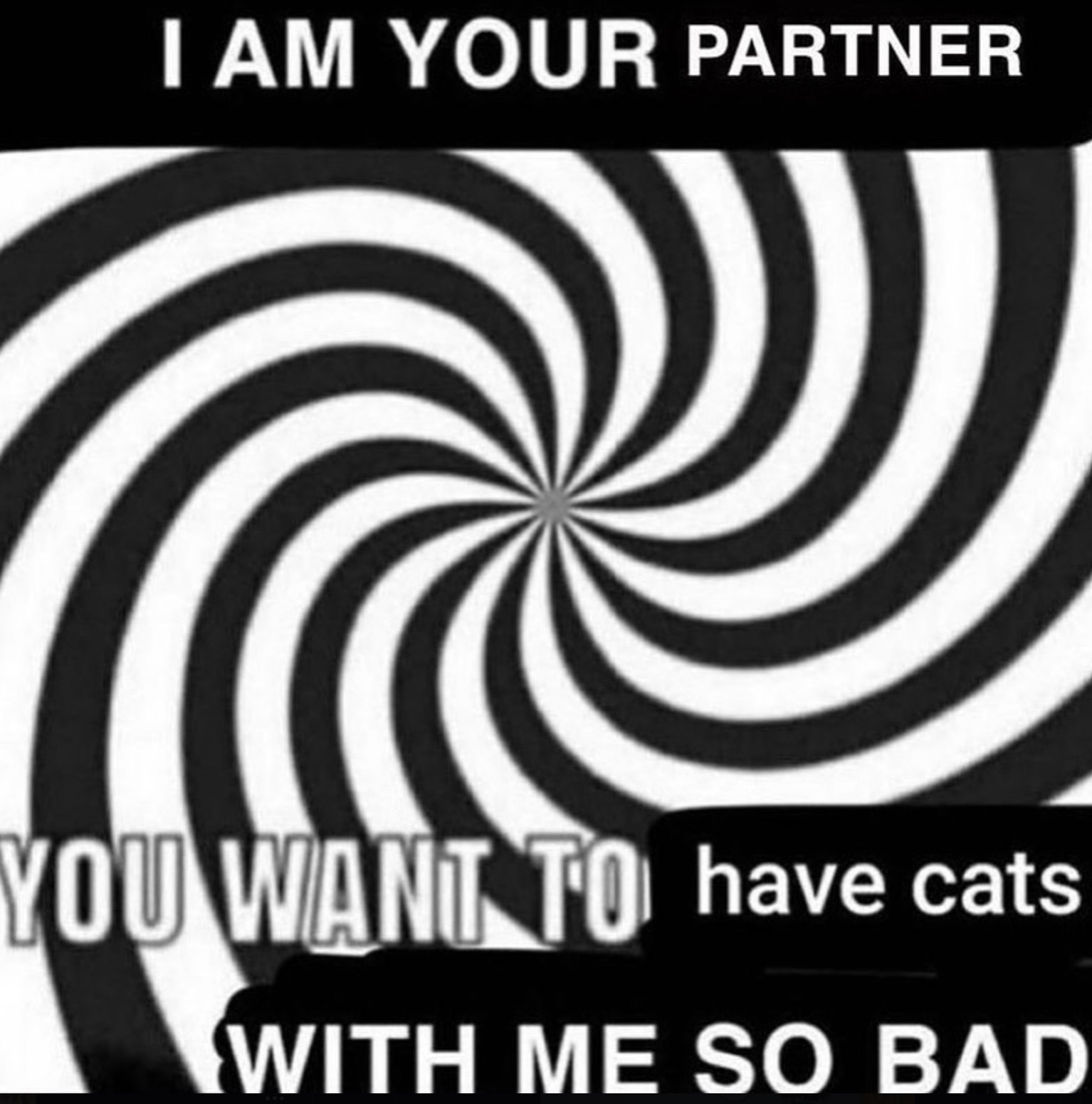 graphic design - I Am Your Partner You Want To have cats With Me So Bad