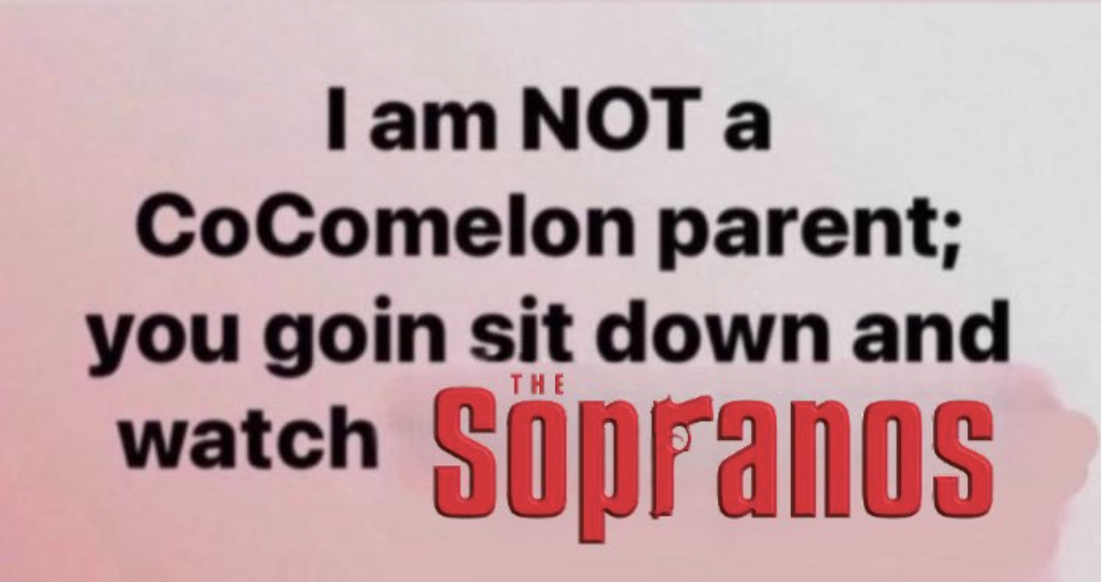 carmine - I am Not a CoComelon parent; you goin sit down and watch The Sopranos