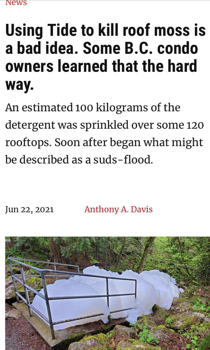 grass - Using Tide to kill roof moss is a bad idea. Some B.C. condo owners learned that the hard way. An estimated 100 kilograms of the detergent was sprinkled over some 120 rooftops. Soon after began what might be described as a sudsflood. Anthony A. Dav