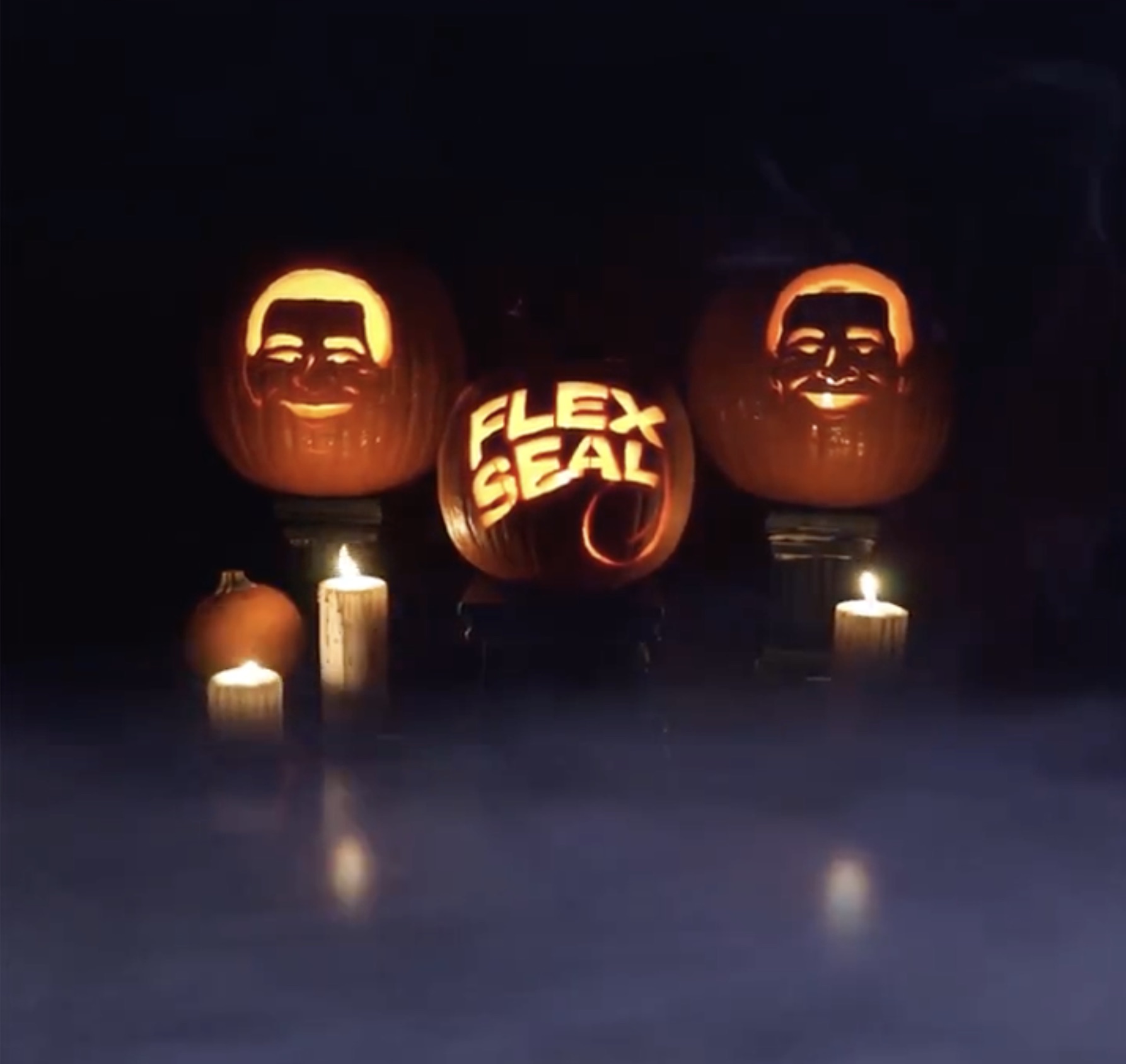 jack-o'-lantern - D Flex Seal &