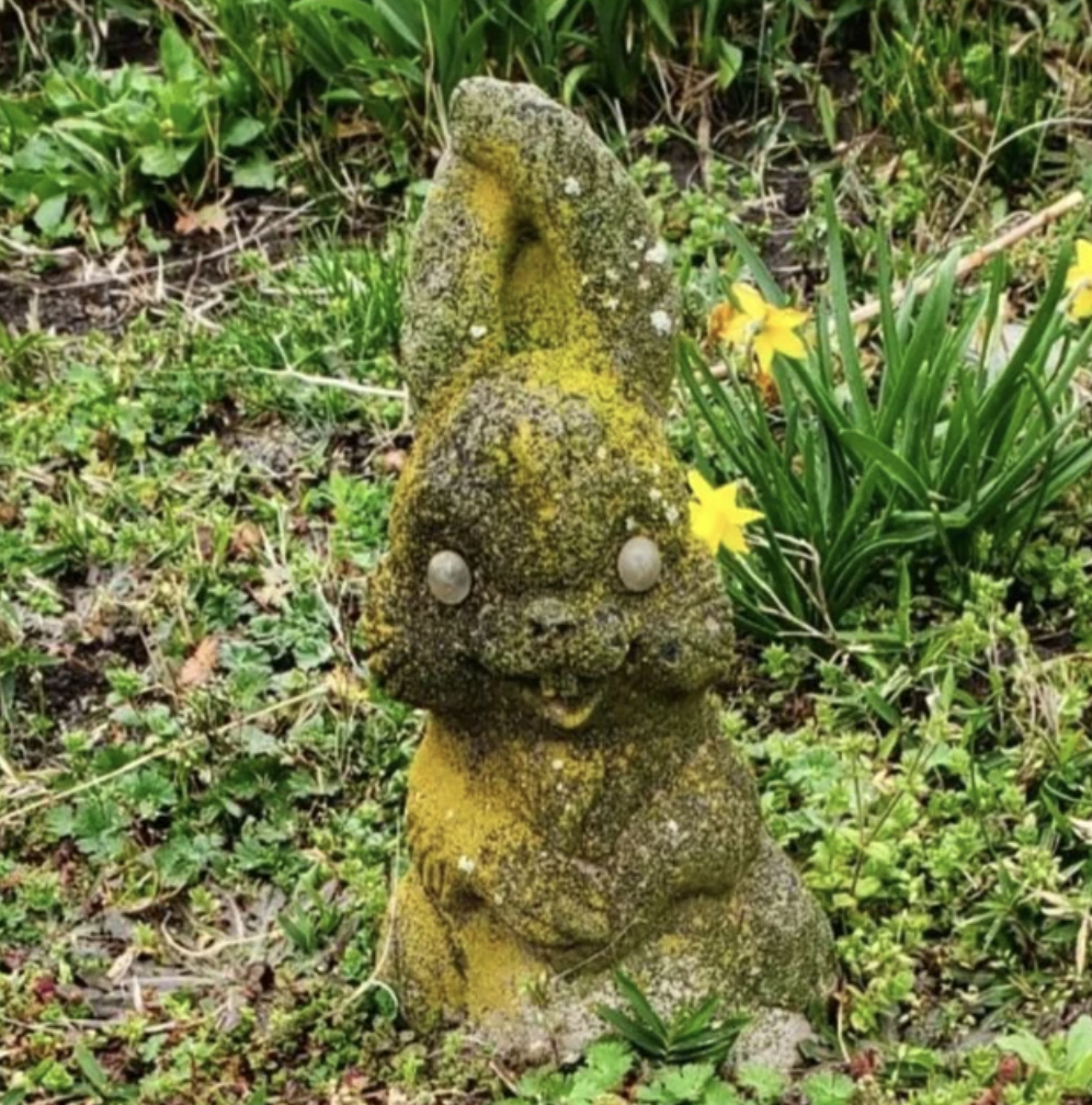 “Bunny statue at my mom's senior center.”