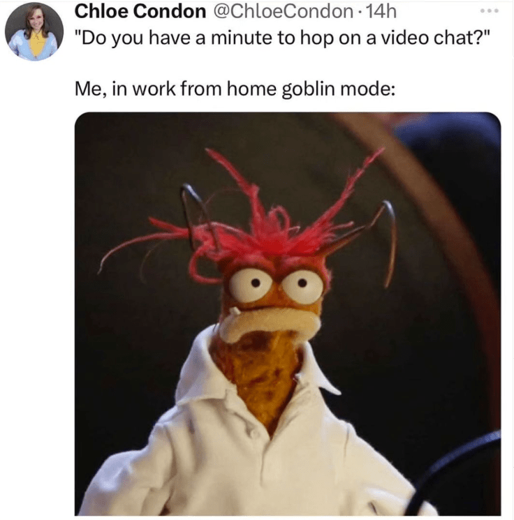 monday work memes - Chloe Condon - Chloe Condon 14h "Do you have a minute to hop on a video chat?" Me, in work from home goblin mode