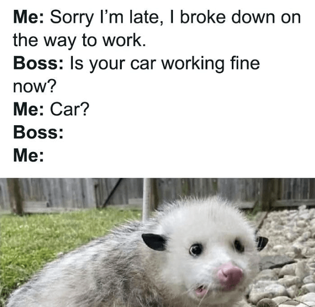 monday work memes - opossum meme - Me Sorry I'm late, I broke down on the way to work. Boss Is your car working fine now? Me Car? Boss Me