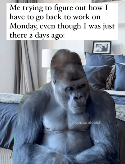 monday work memes - monkey - Me trying to figure out how I have to go back to work on Monday, even though I was just there 2 days ago