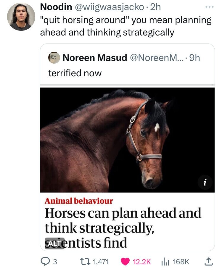 Horse - Noodin . 2h "quit horsing around" you mean planning ahead and thinking strategically Noreen Masud M.... 9h terrified now '7 i Animal behaviour Horses can plan ahead and think strategically, SALTentists find 3 1,471 1