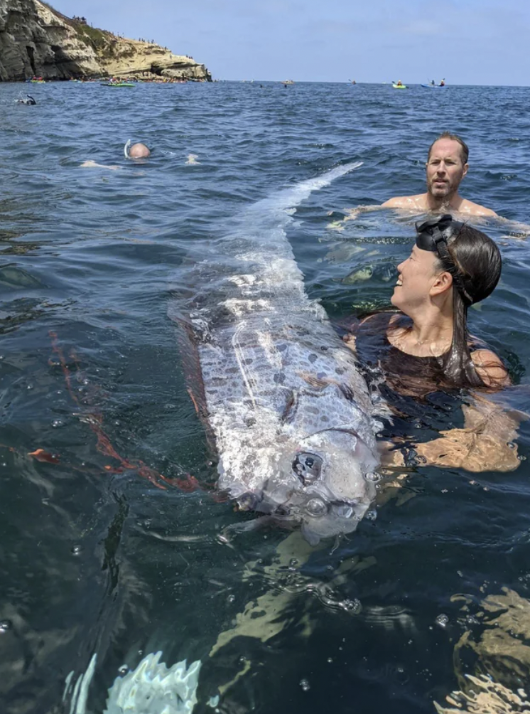 Giant oarfish