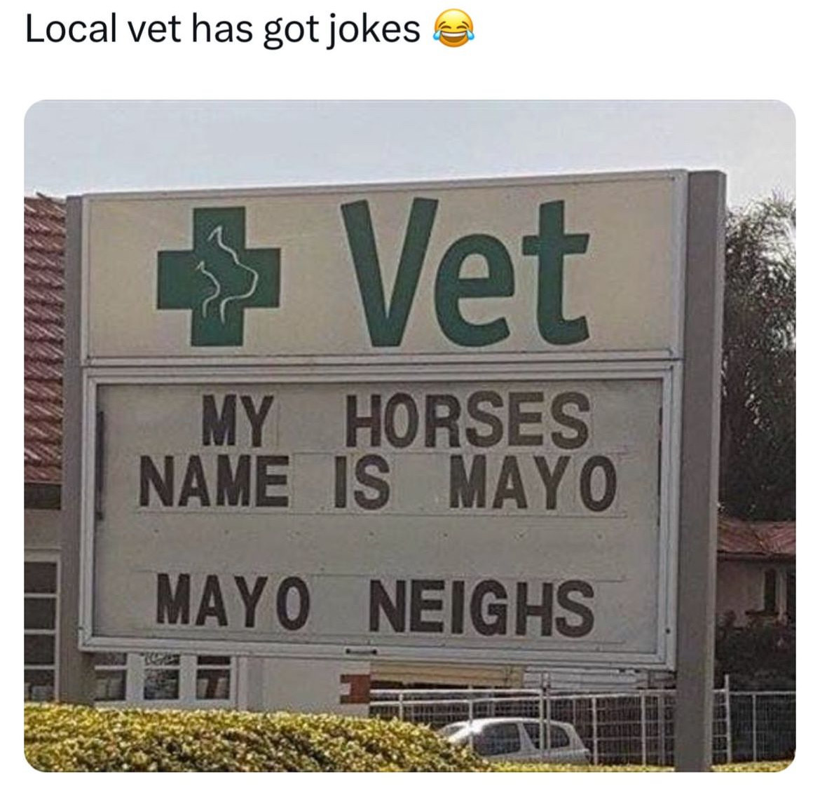 funny signs on businesses - wwwwwww Local vet has got jokes Vet My Horses Name Is Mayo Mayo Neighs