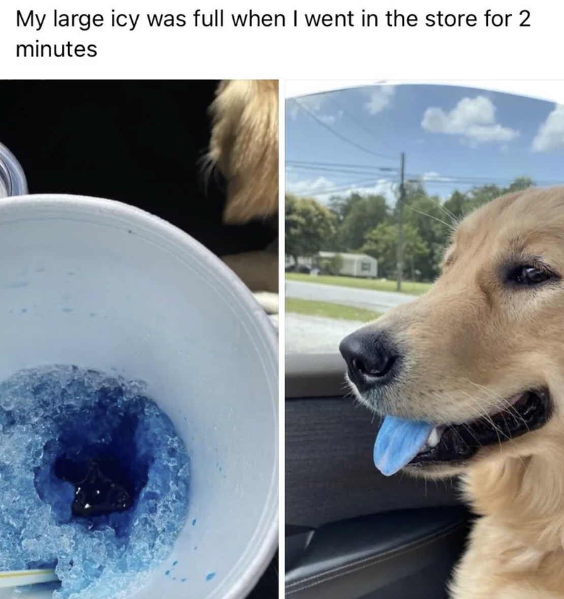 dog drank blue slush - My large icy was full when I went in the store for 2 minutes