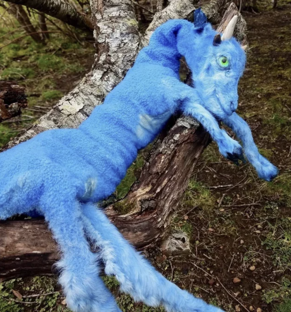 $200 for this “lamb turned into a dragon.”