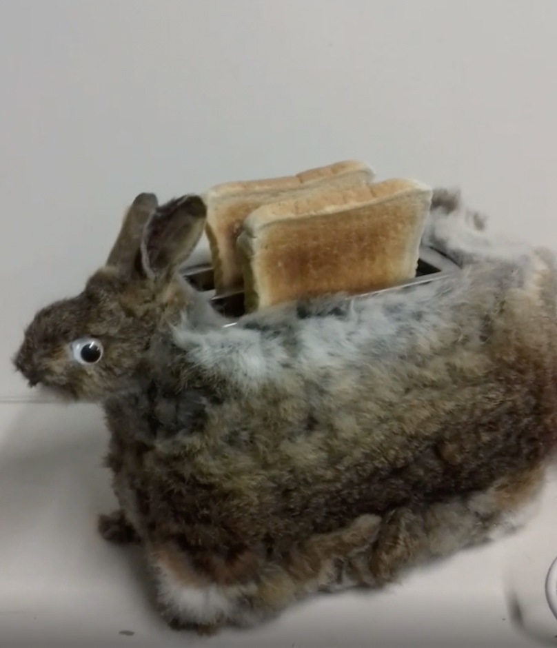 “I've made a Rabbit Toaster!”