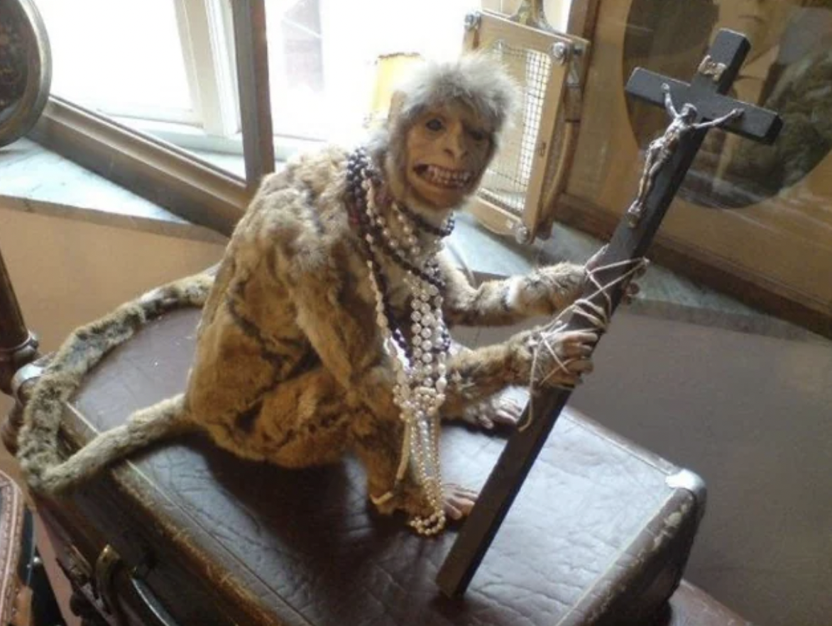 25 Pics of Taxidermy So Bad These Animals Would Have Preferred Cremation