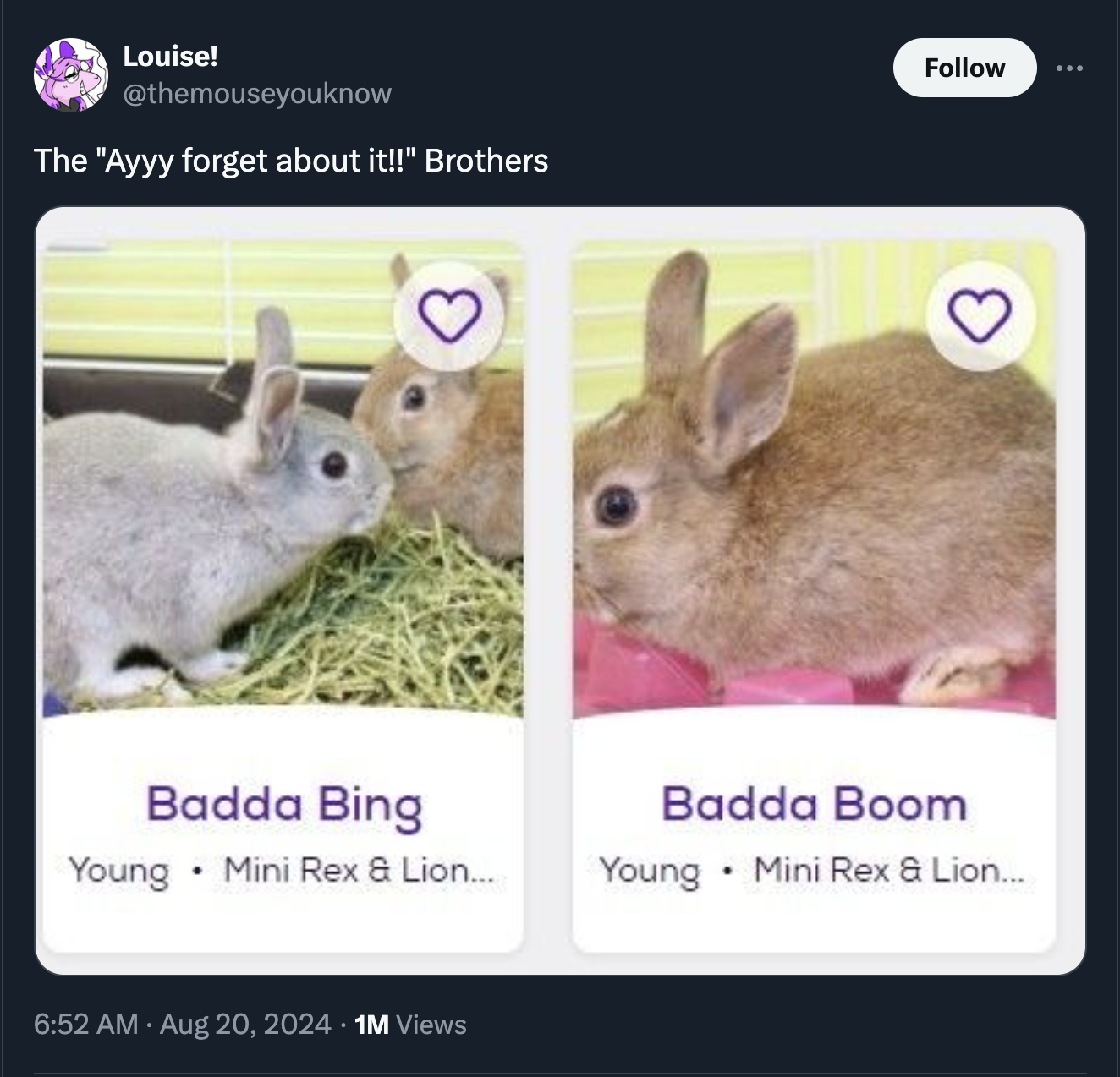 The 48 Funniest Tweets From This Tuesday That Has Been, All Things ...