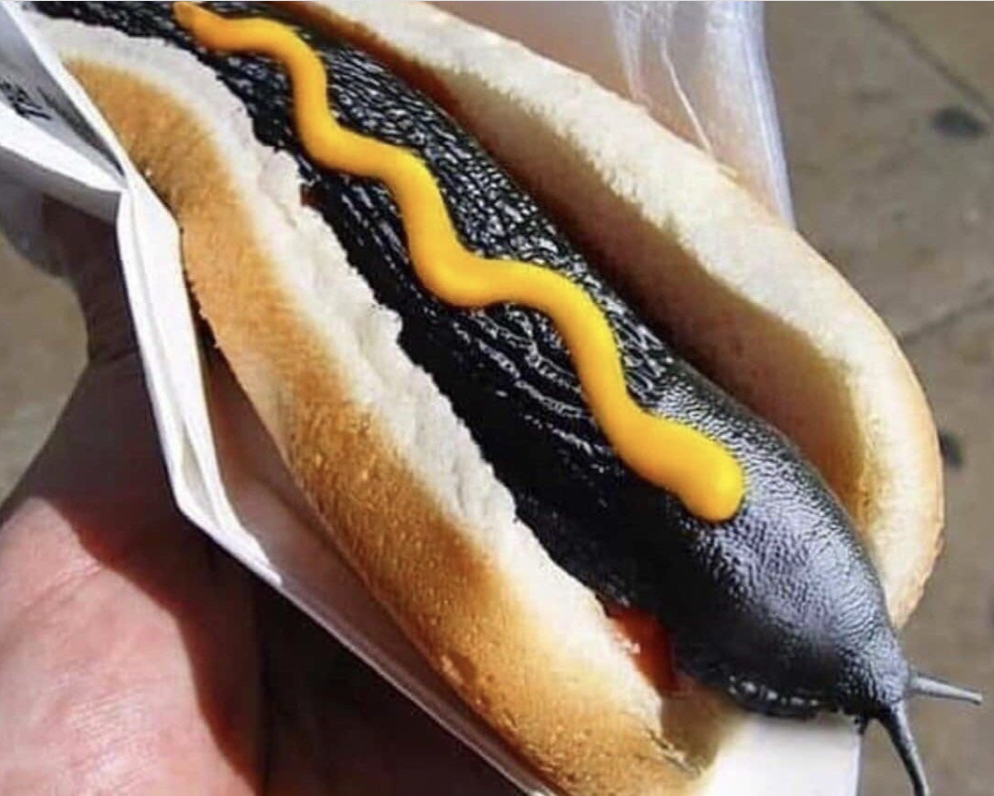 hotdog funny meme